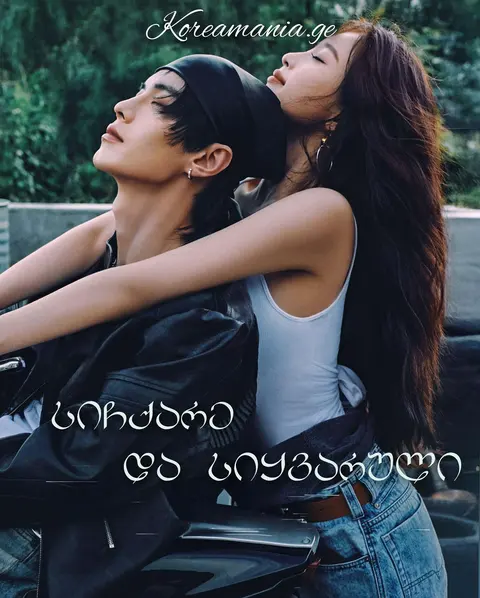 სიჩქარე და სიყვარული — სერიალები ქართულად ონლაინში | kartulad.net — პოსტერი