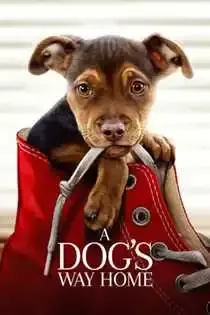 ძაღლის გზა სახლისკენ — ფილმები ქართულად ონლაინში | kartulad.net — პოსტერი