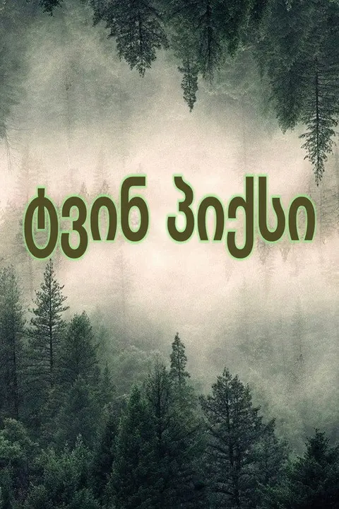 ტვინ პიქსი — სერიალები ქართულად ონლაინში | kartulad.net — პოსტერი